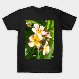 plumeria-flowers-frangipani-floral-awesome-bossoms-shirtyshirto-99 T-Shirt